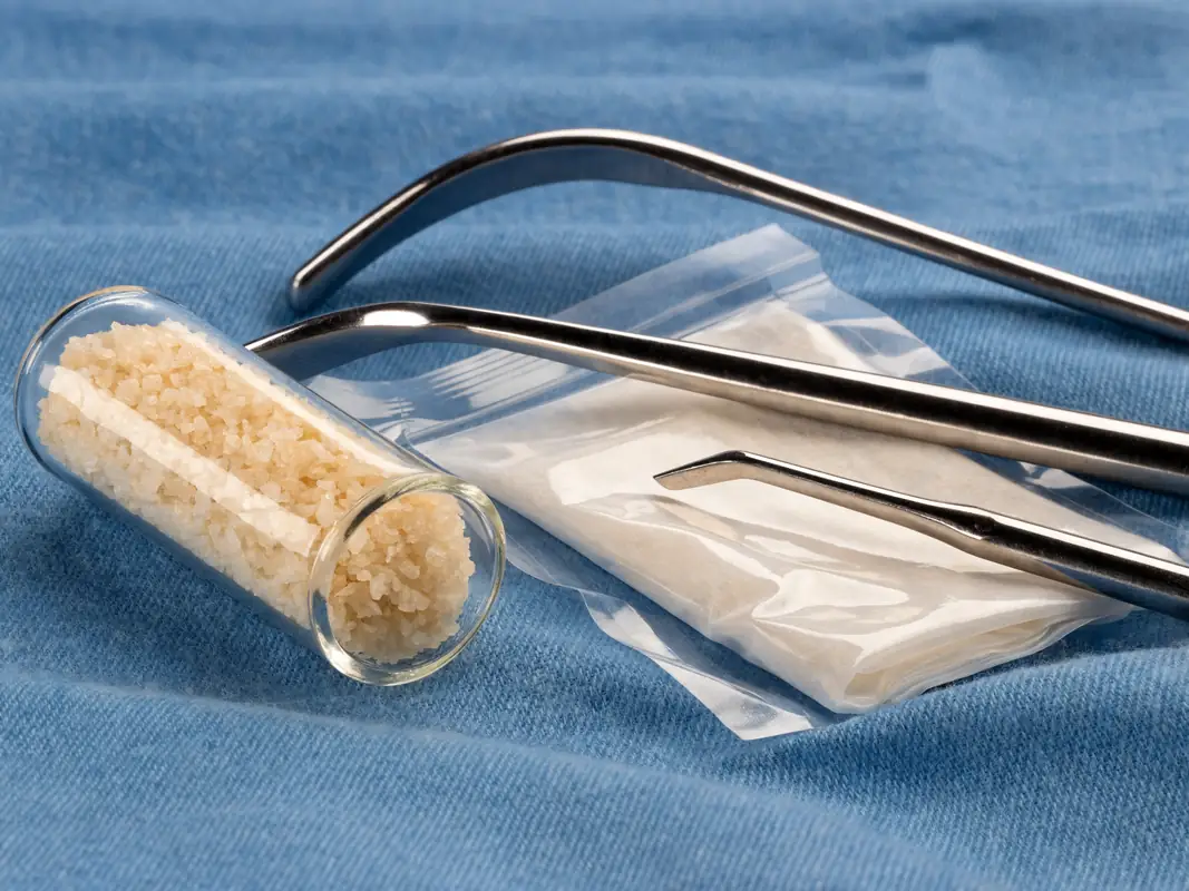Bone graft granules and a collagen barrier membrane laid out on a sterile surgical drape